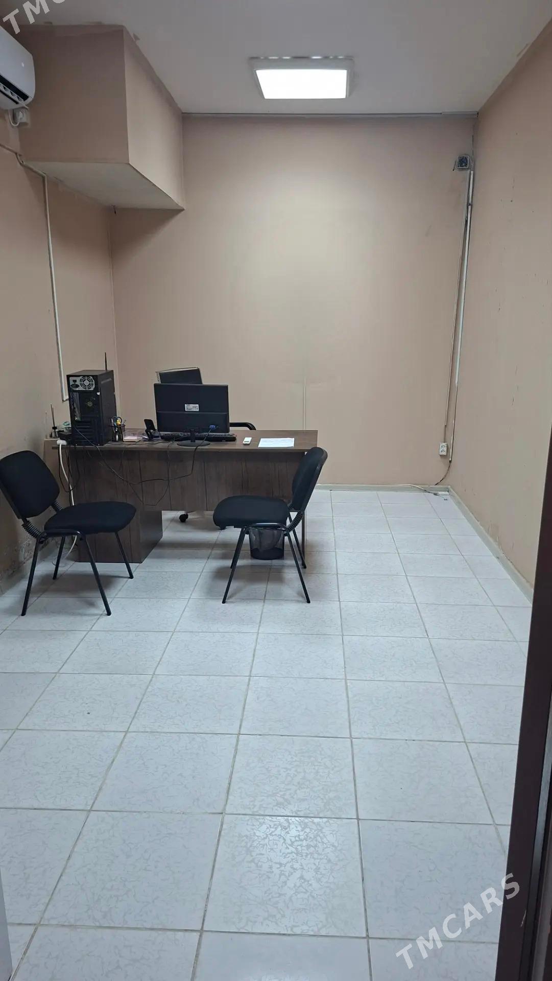 Ofis - Мир 7 - img 5