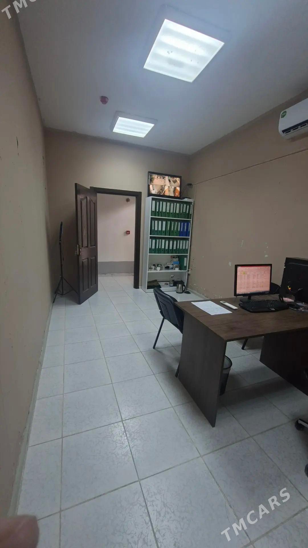 Ofis - Мир 7 - img 4