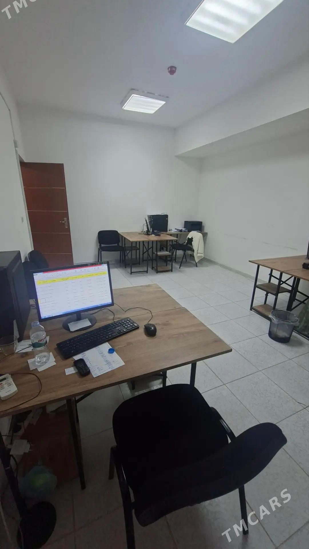 Ofis - Мир 7 - img 3