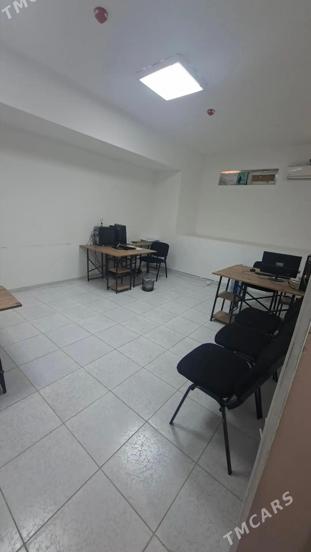 Ofis - Мир 7 - img 2