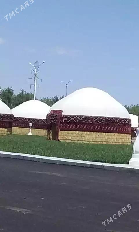 Gara öy ak öy - Ak bugdaý etraby - img 6