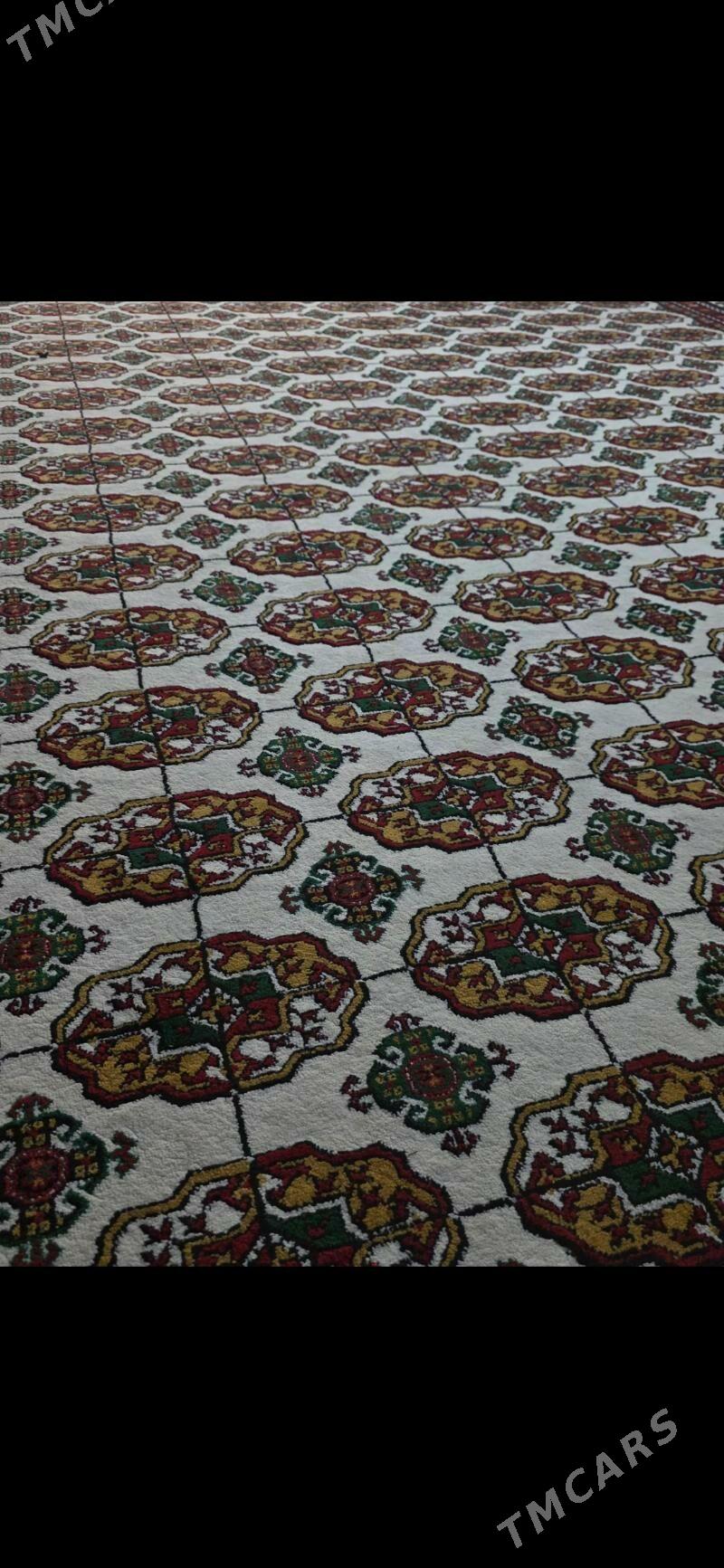 haly - 30 mkr - img 1