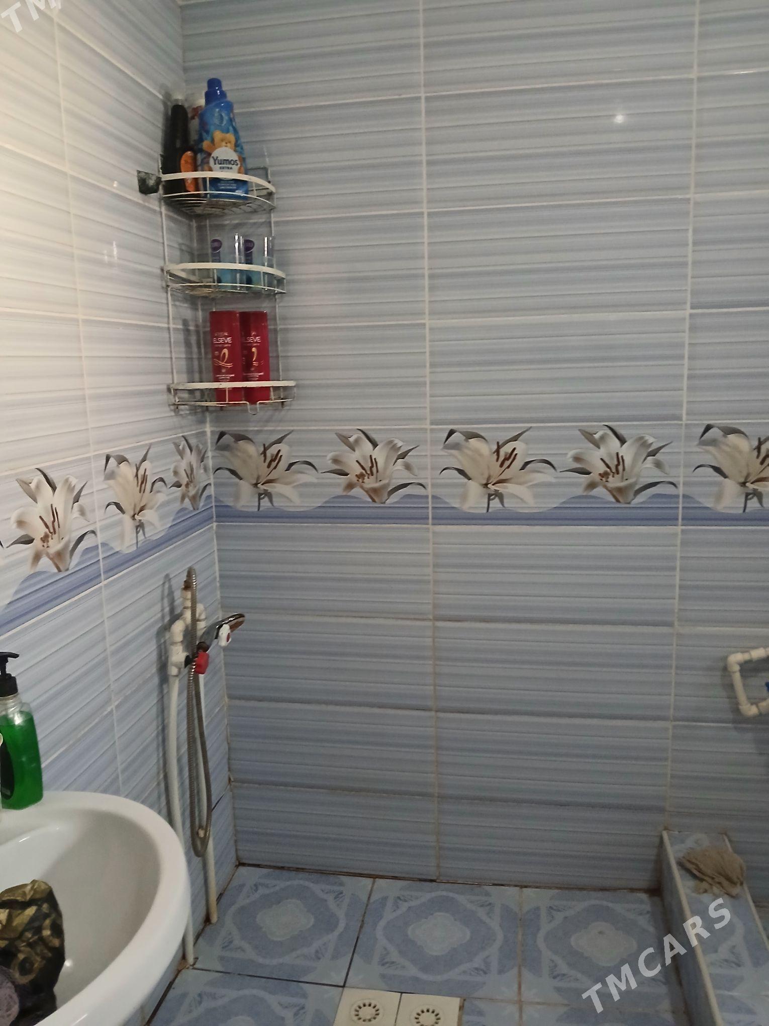 Jay - Гороглы (Тагта) - img 5