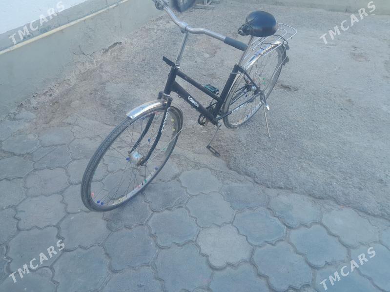 Yaponskyy tigir - Бекреве - img 2