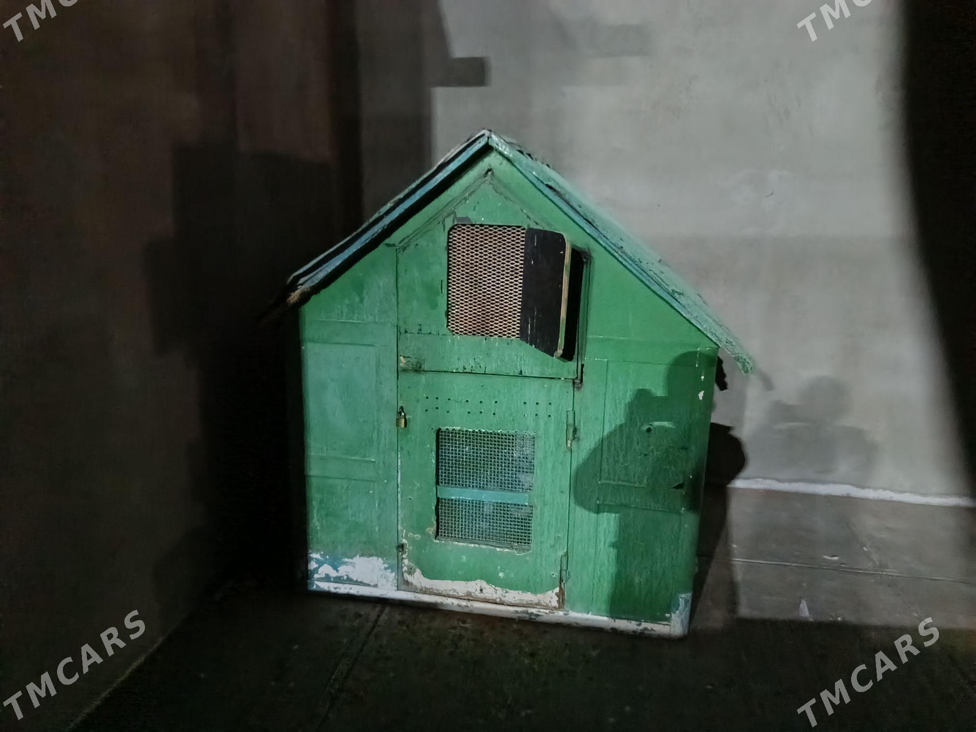 Kepderi - Änew - img 3