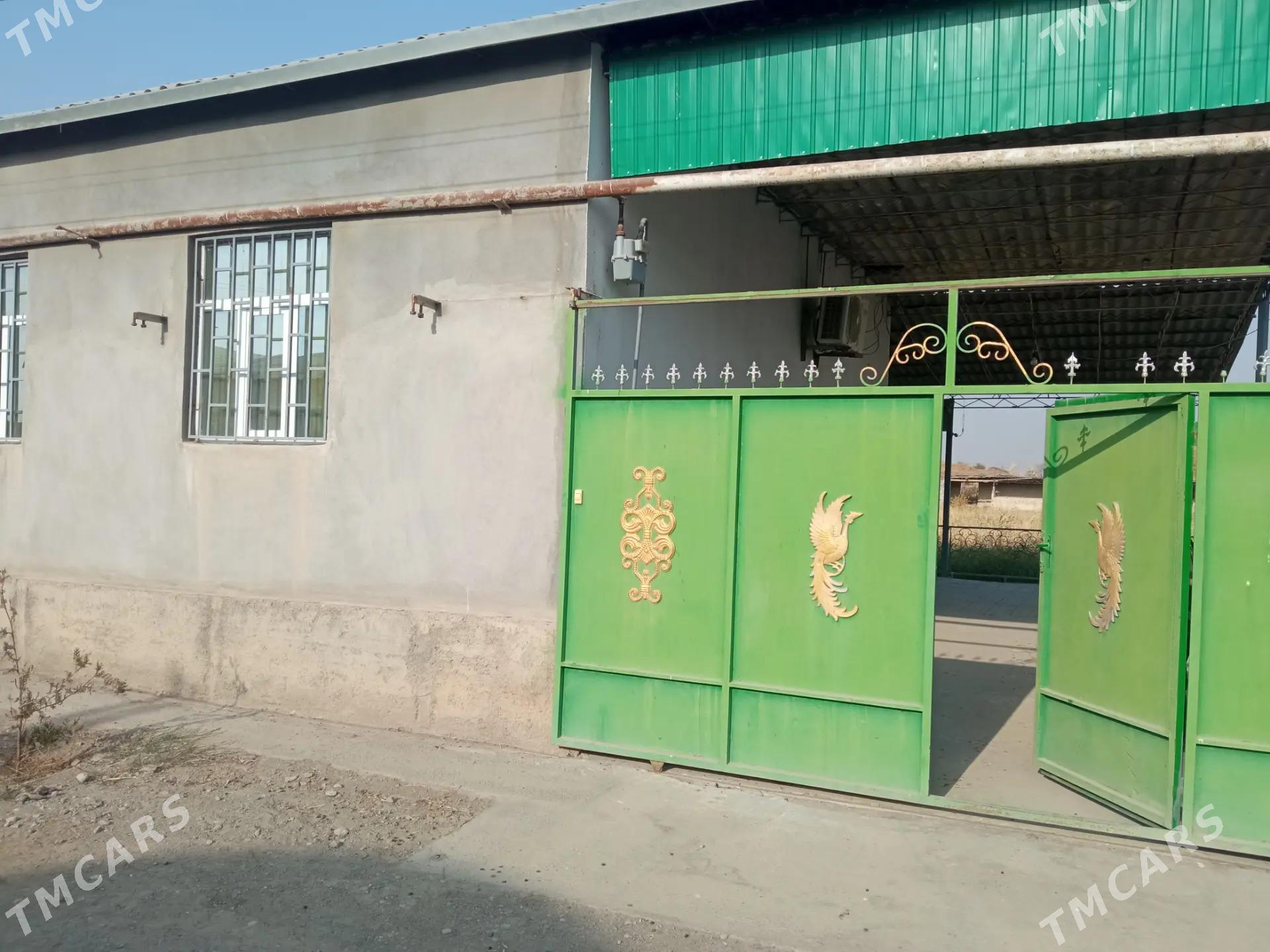 howlyjay - Койтендаг - img 2