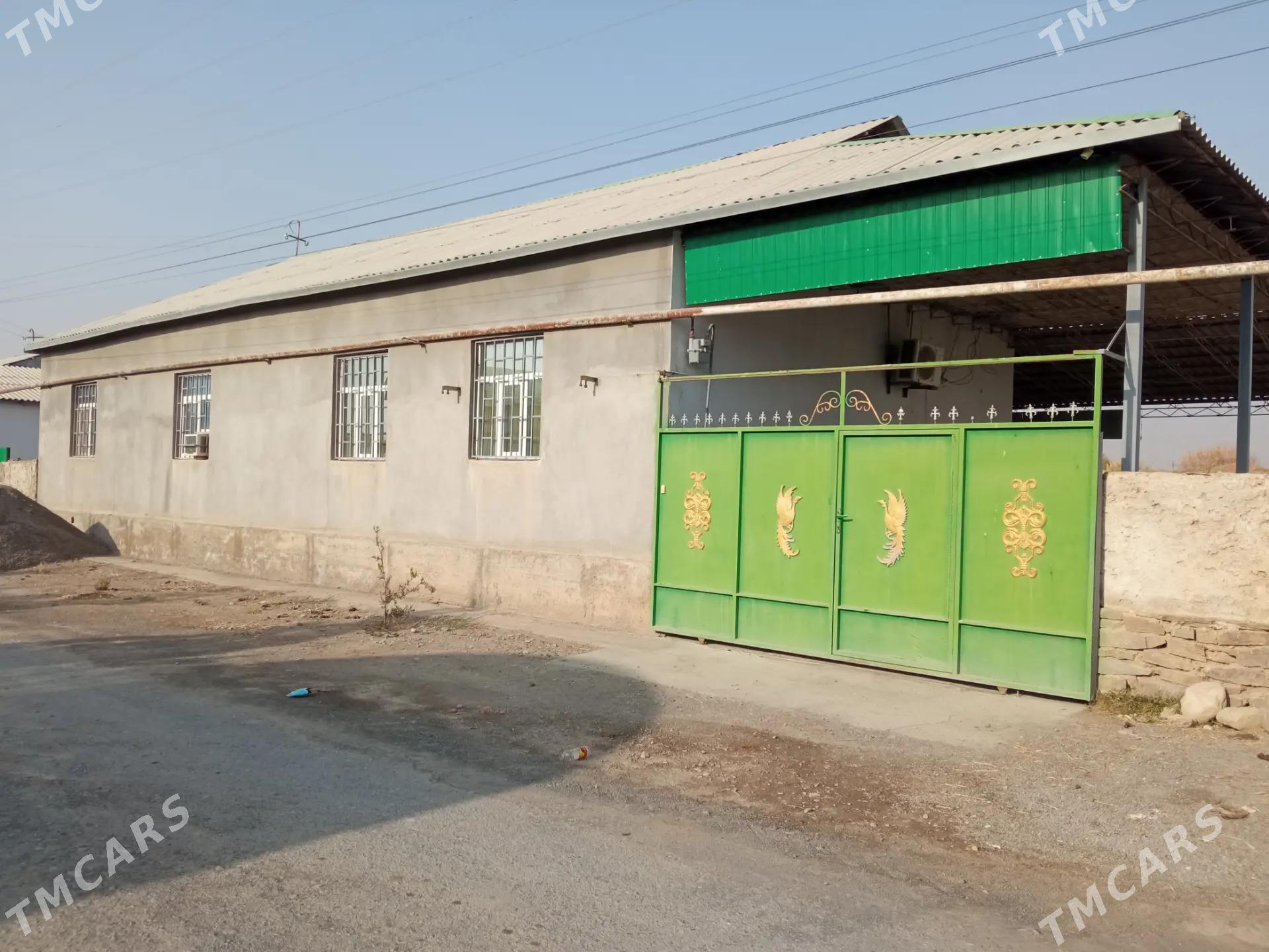 howlyjay - Койтендаг - img 9