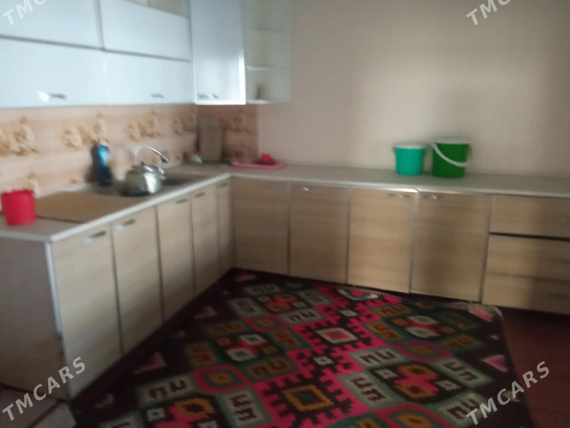 howlyjay - Койтендаг - img 4