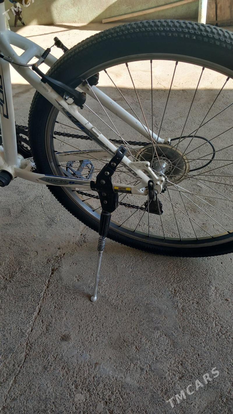 Tigir Germanya - Köşi - img 2