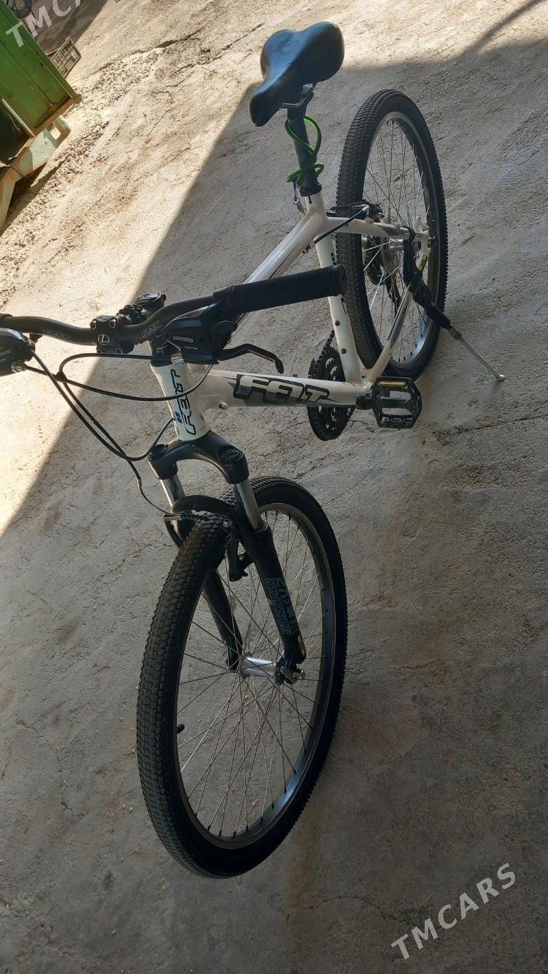 Tigir Germanya - Köşi - img 3