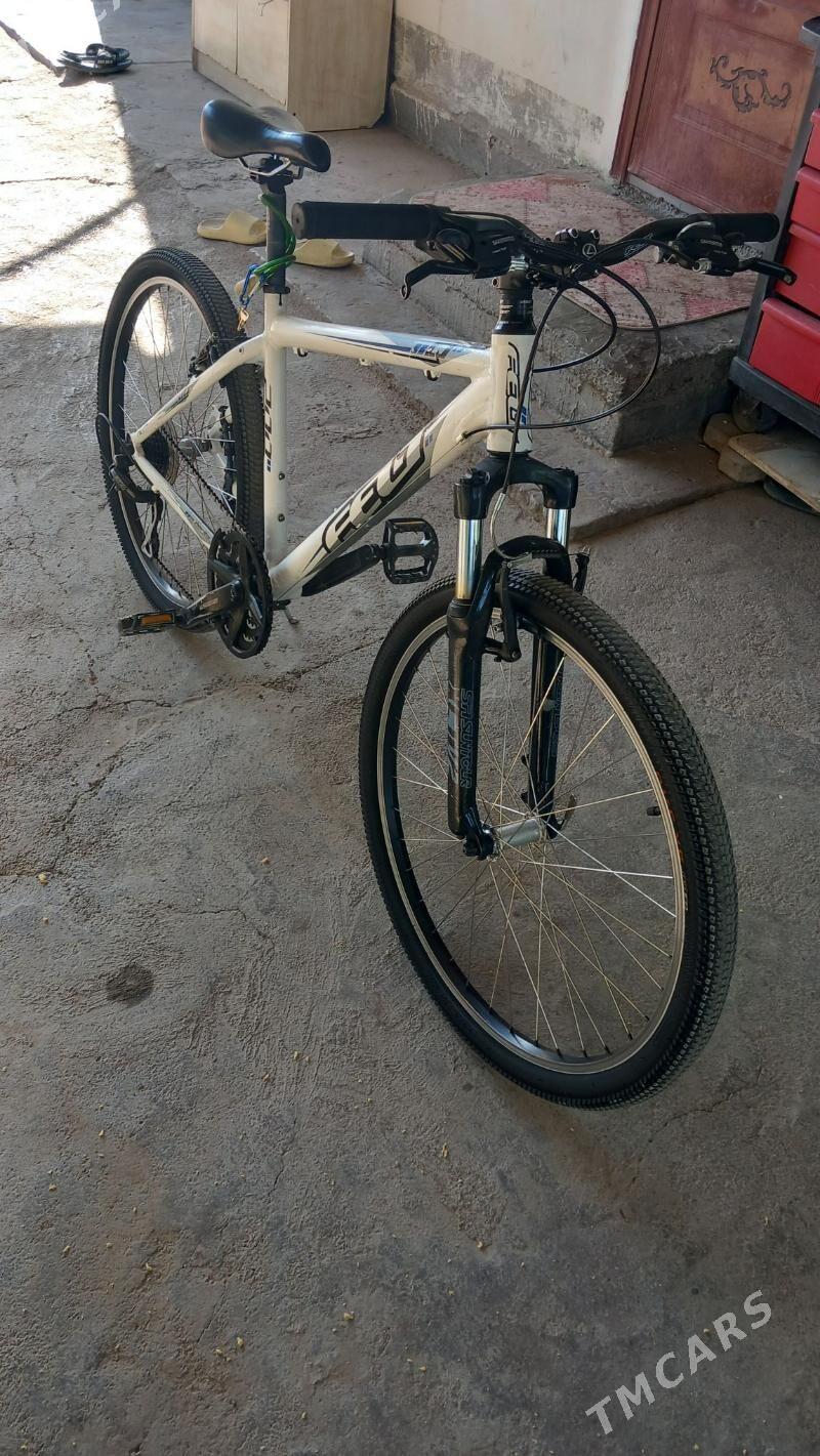 Tigir Germanya - Köşi - img 4