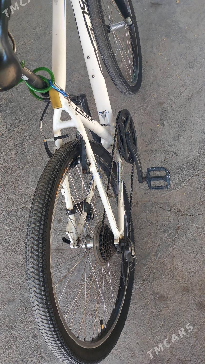 Tigir Germanya - Köşi - img 1