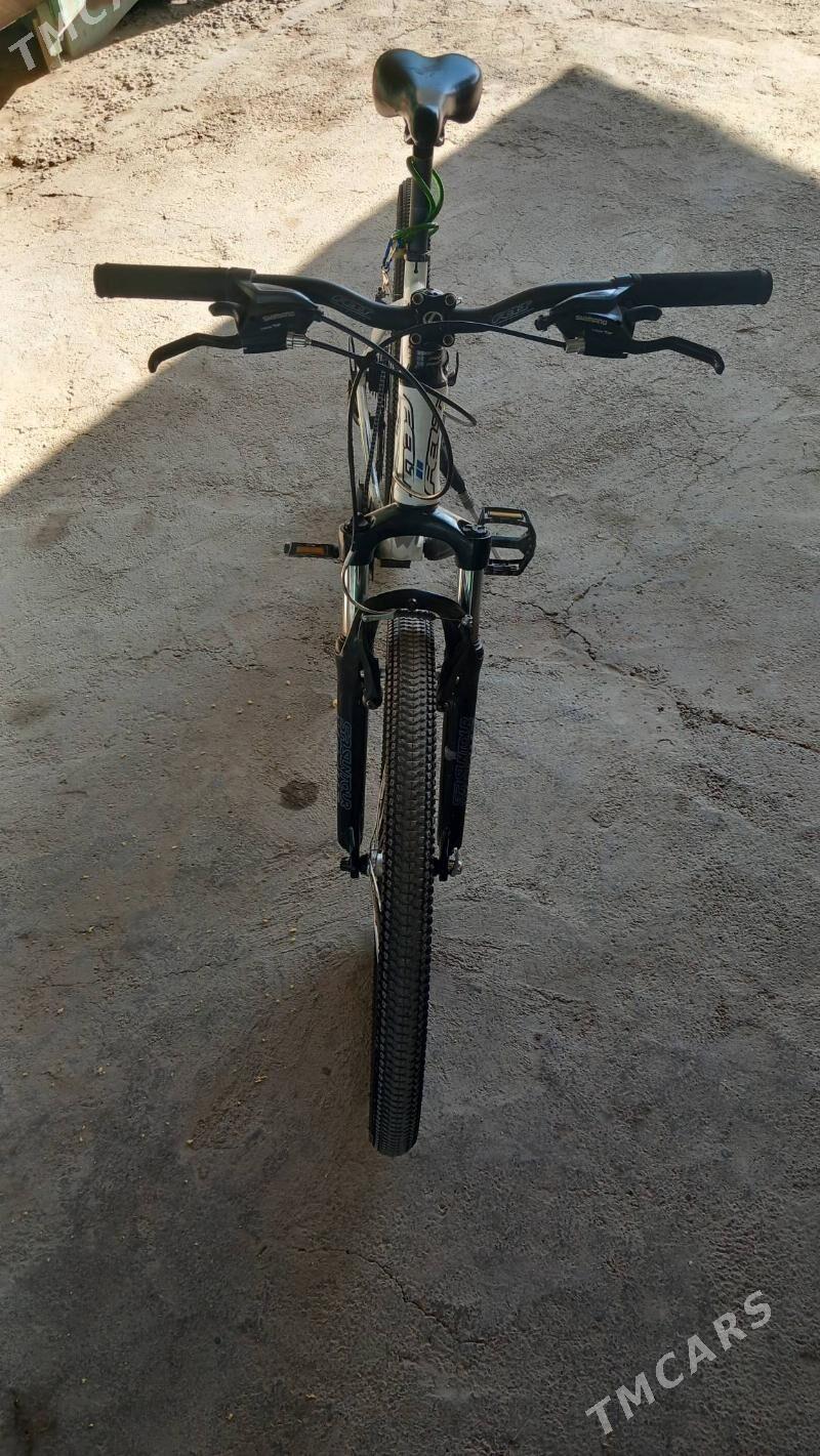 Tigir Germanya - Köşi - img 6