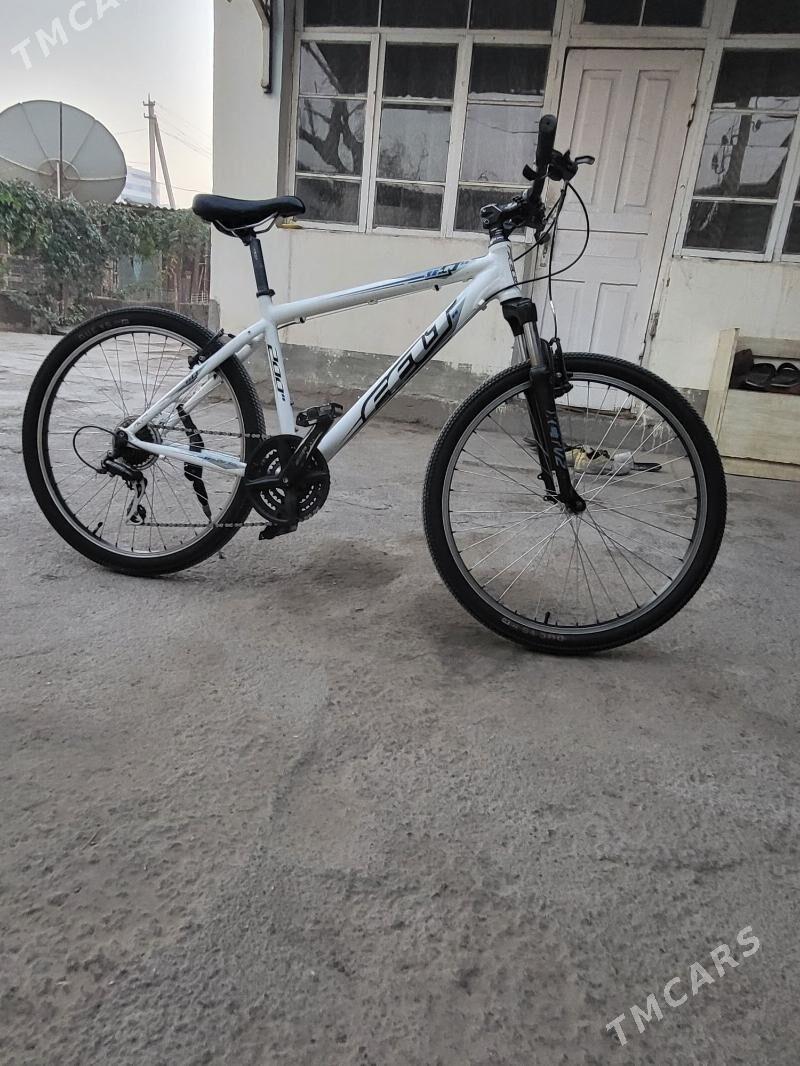 Tigir Germanya - Köşi - img 7