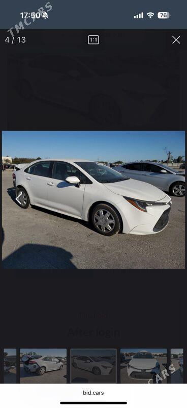 Toyota Corolla 2020 - 265 000 TMT - Balkanabat - img 4