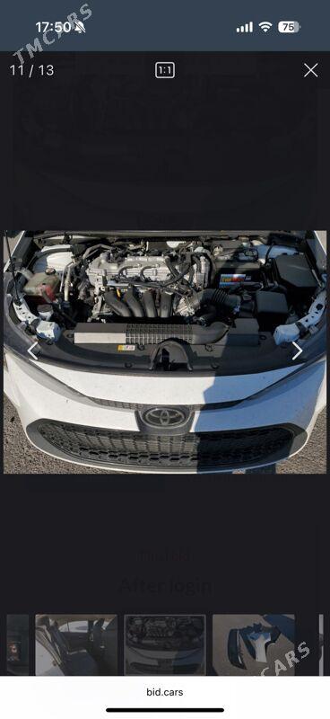 Toyota Corolla 2020 - 265 000 TMT - Balkanabat - img 1