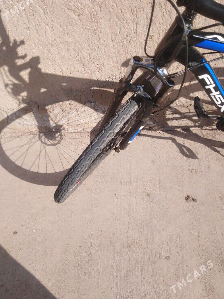 Welik gowy yorap dur - Daşoguz - img 2