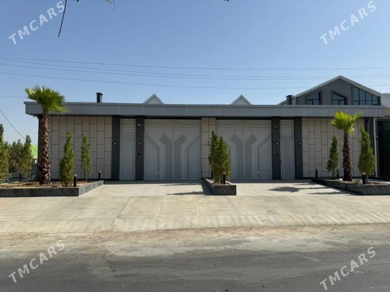 Coganly katez - Чоганлы - img 2