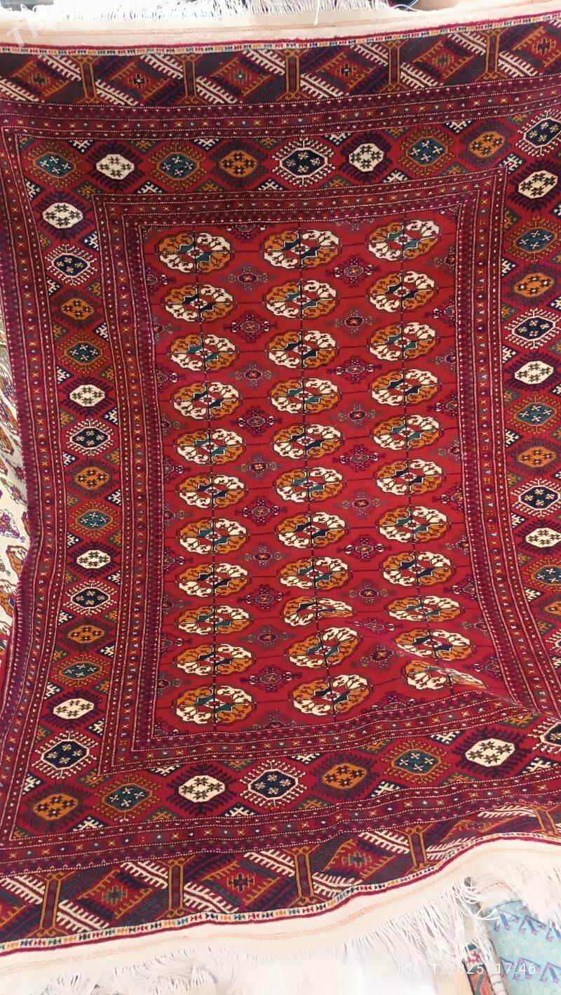 haly - Dosaaf - img 1