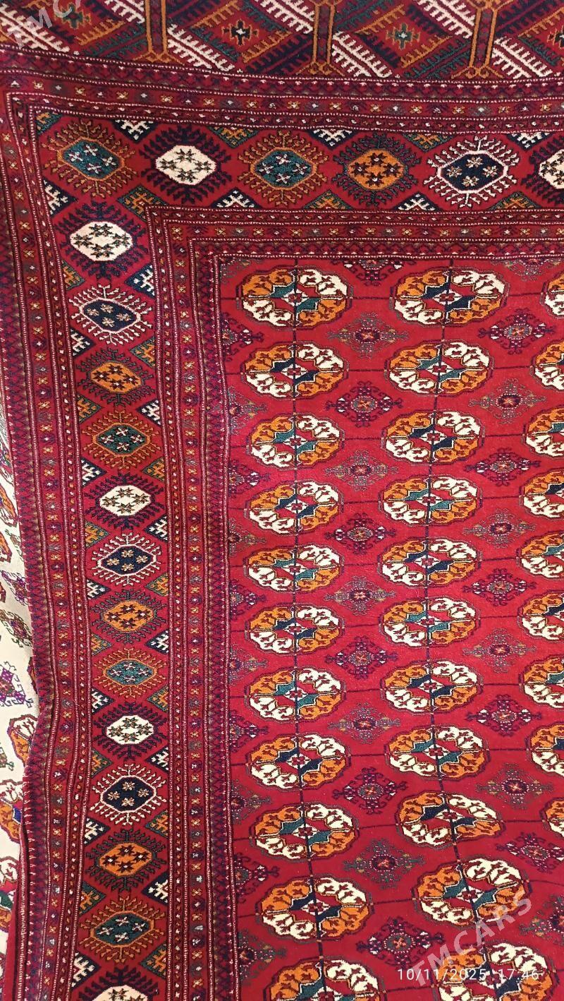 haly - Dosaaf - img 4