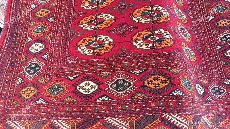 haly - Dosaaf - img 2