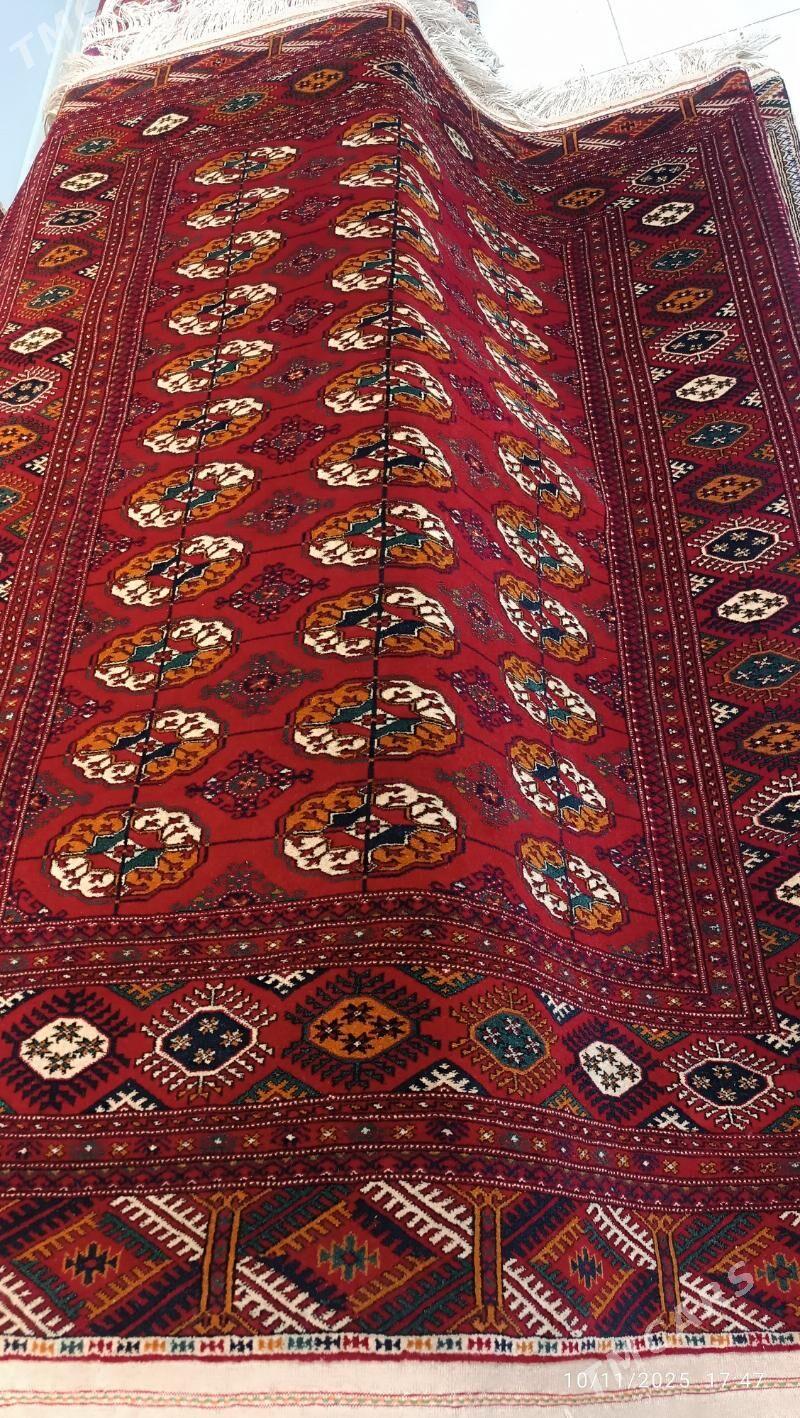 haly - Dosaaf - img 3