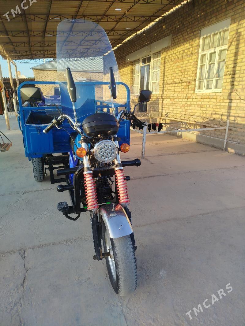 Fekon mator - Mary - img 1