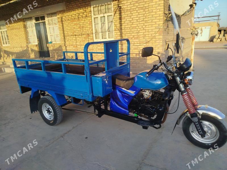 Fekon mator - Mary - img 2