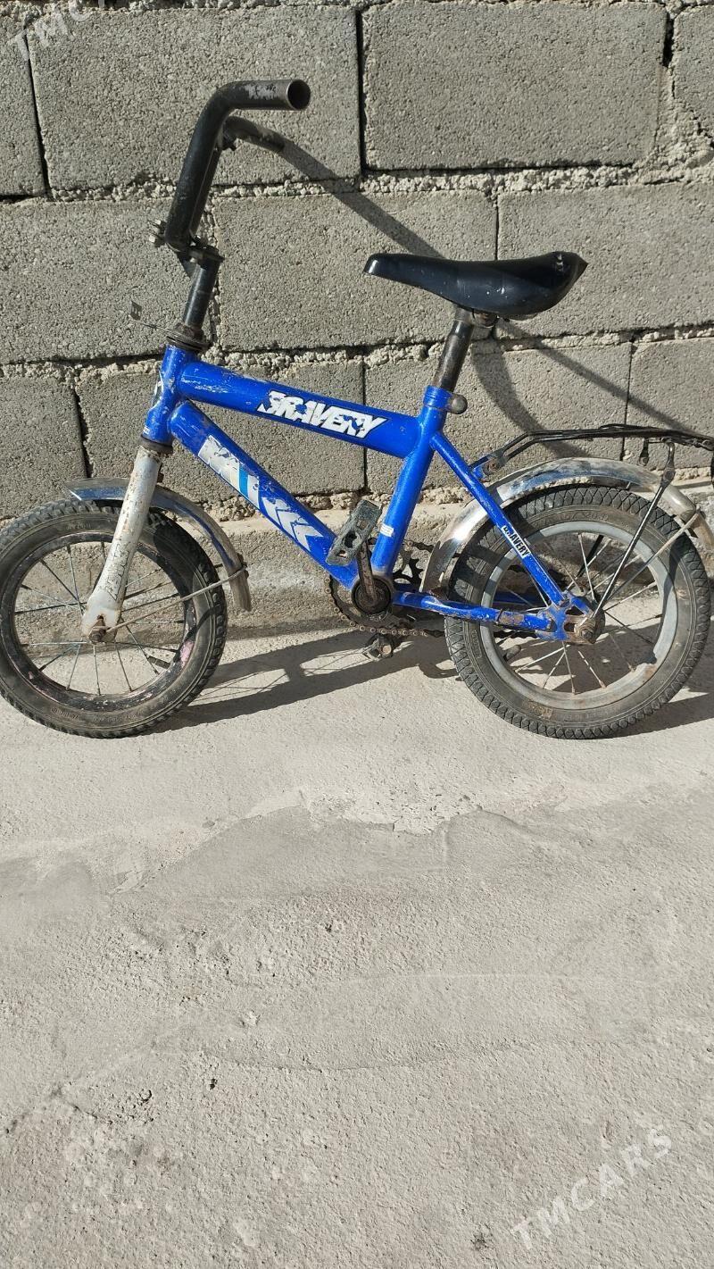 tigir - Gökdepe - img 2