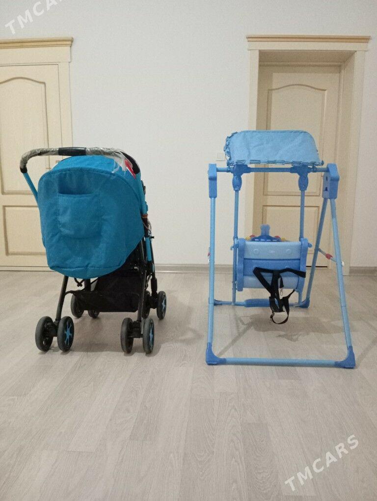 Çaga kalýasga we kacelya - Gökdepe - img 3