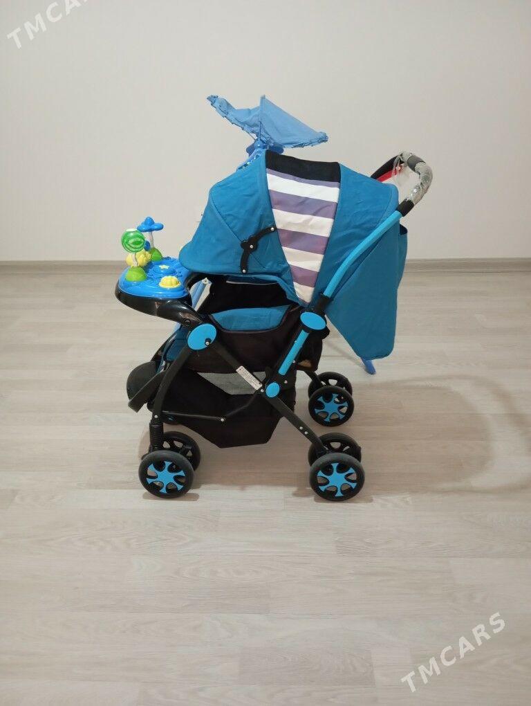 Çaga kalýasga we kacelya - Gökdepe - img 4