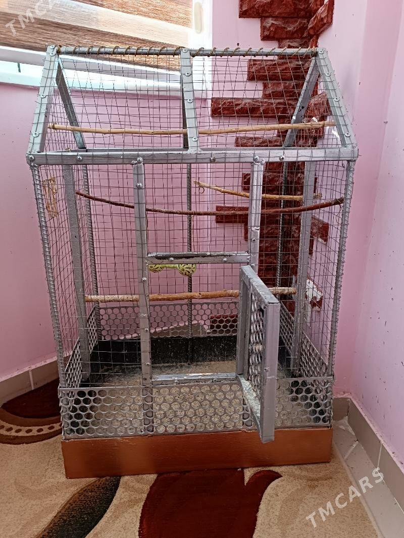 клетка, kletka - Ашхабад - img 3