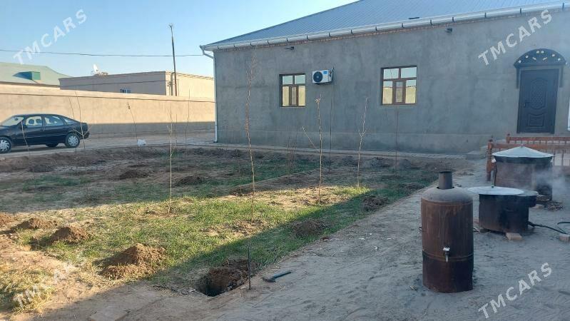 Satlyk Jay - Шабатский этрап - img 2