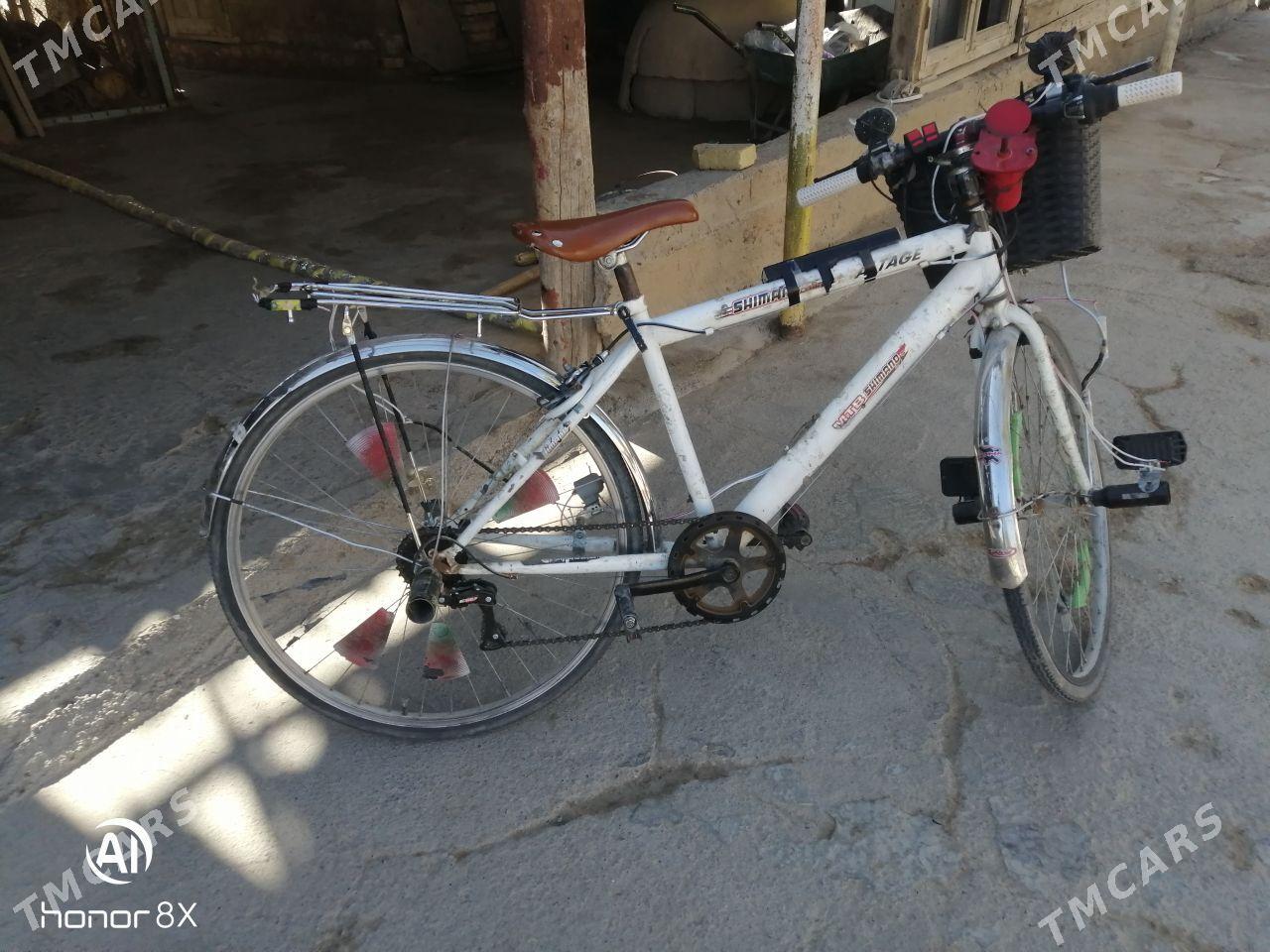 WELIK 26 - Baýramaly - img 2