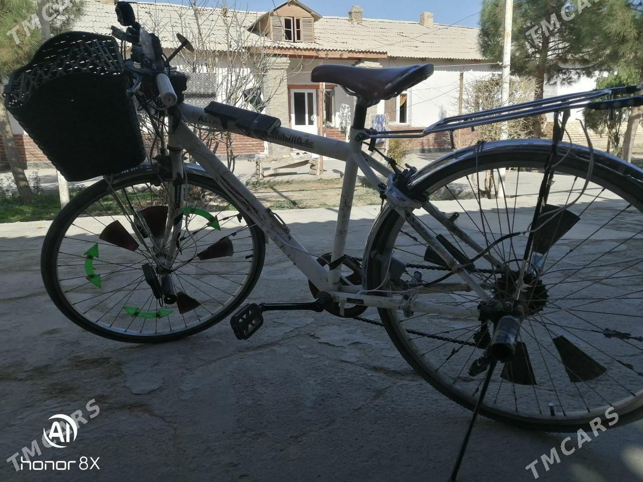 WELIK 26 - Baýramaly - img 3