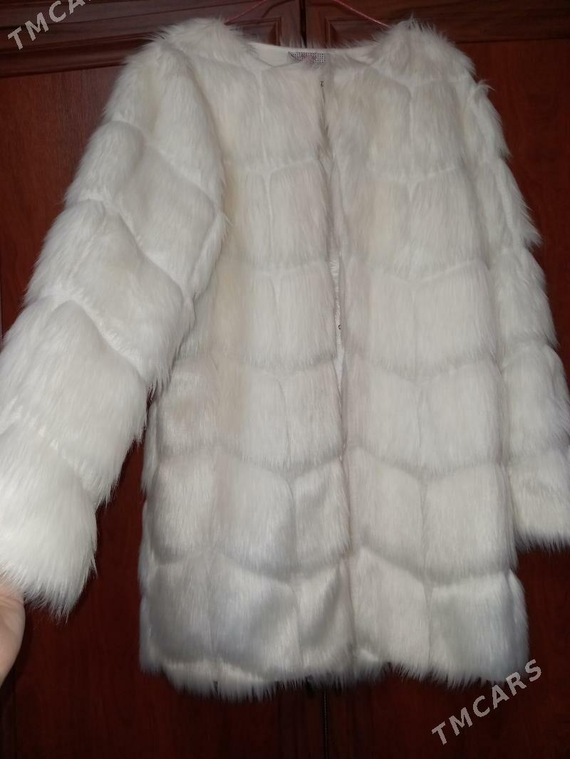 Şuba - Aşgabat - img 1