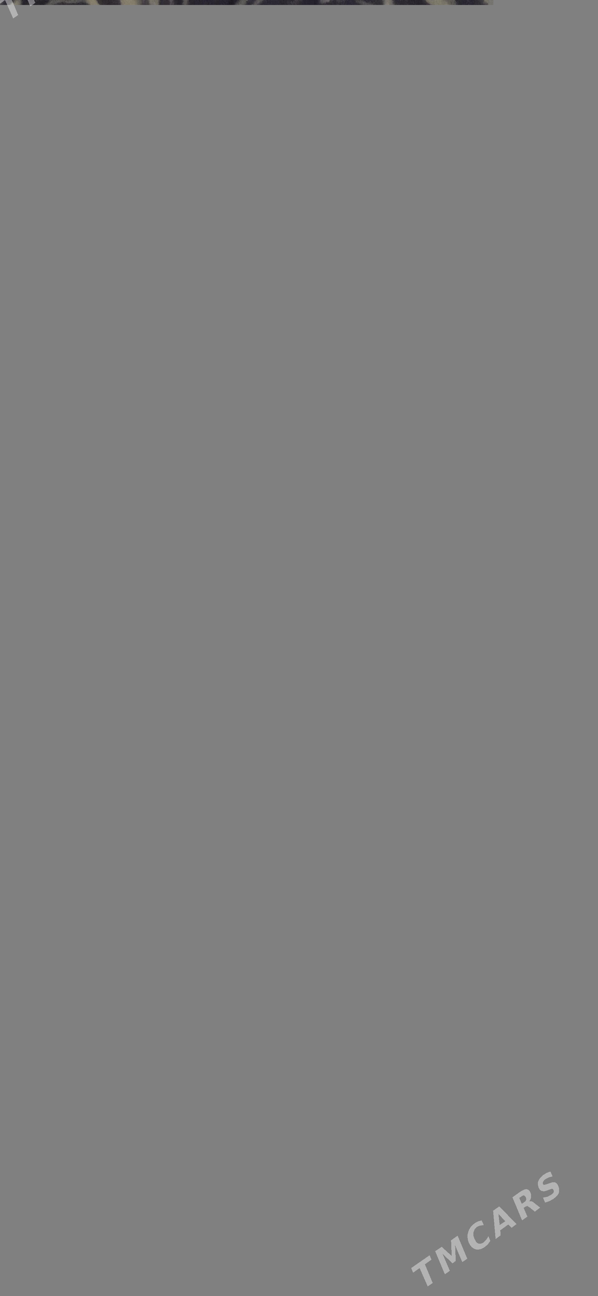 ветровка(плащ) - Туркменабат - img 1