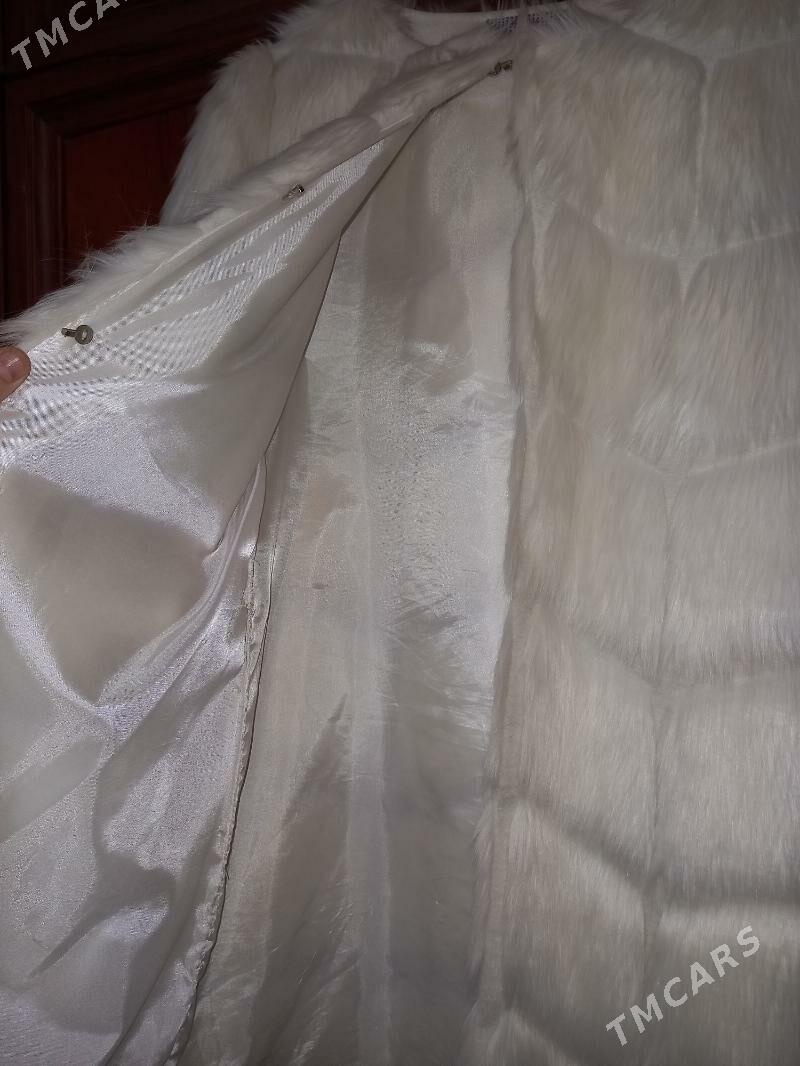 Şuba - Aşgabat - img 2