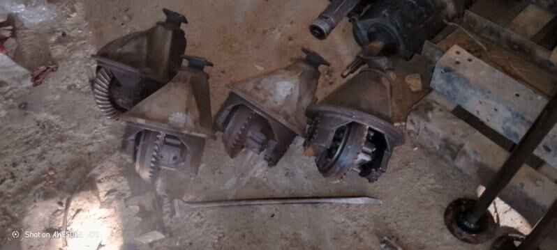 Zapcas 999 999 TMT - Mary - img 4