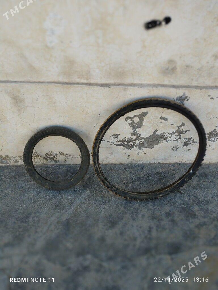 Pakryska - Türkmenbaşy - img 2