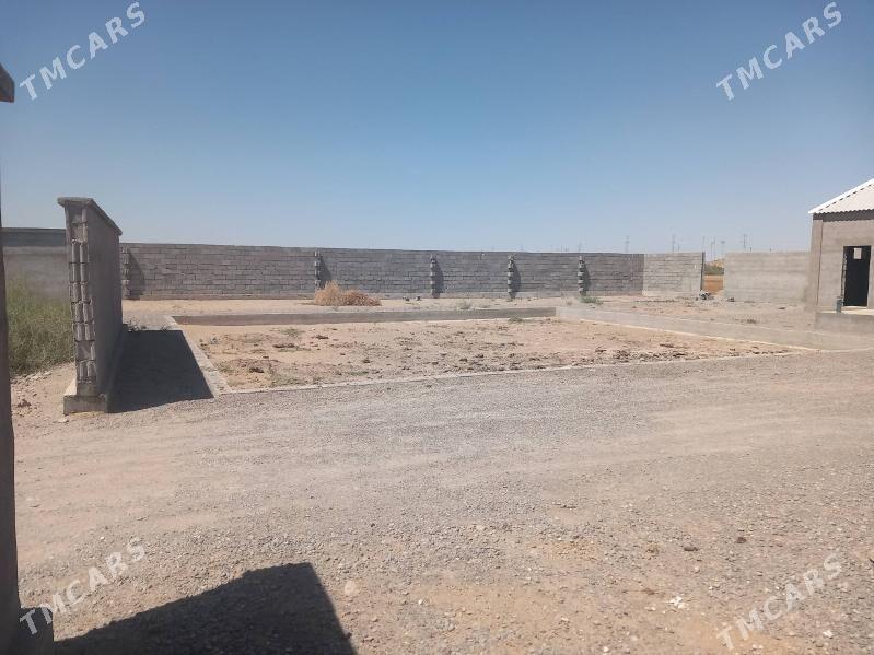 Satlyk jay - Бузмеин - img 3