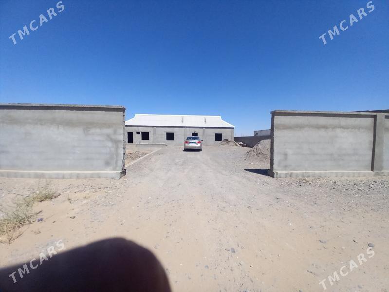 Satlyk jay - Бузмеин - img 1