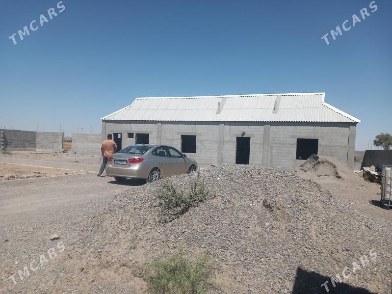 Satlyk jay - Бузмеин - img 2