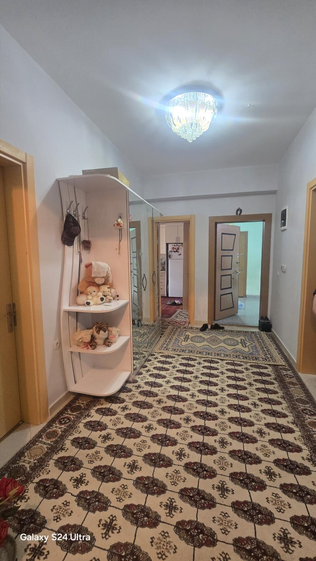 SATLYK JAY Taslama - Aşgabat - img 5