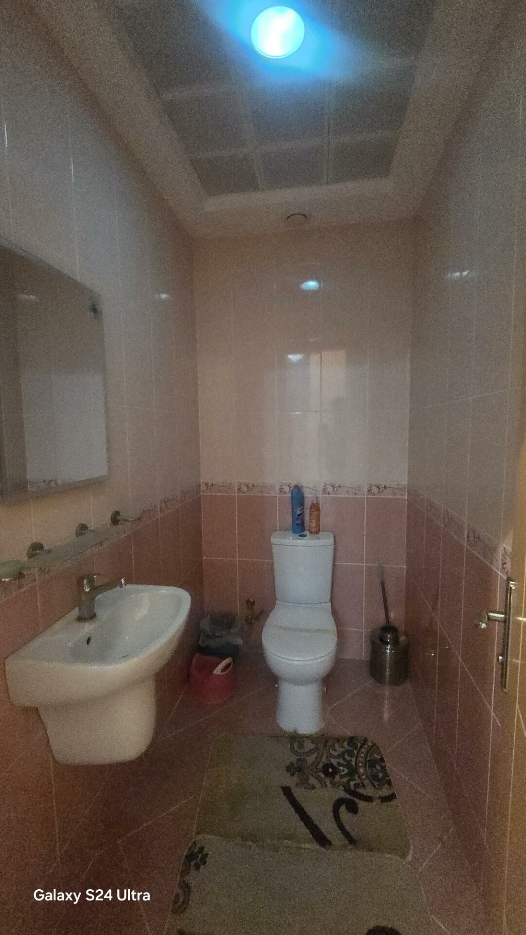 SATLYK JAY Taslama - Aşgabat - img 9