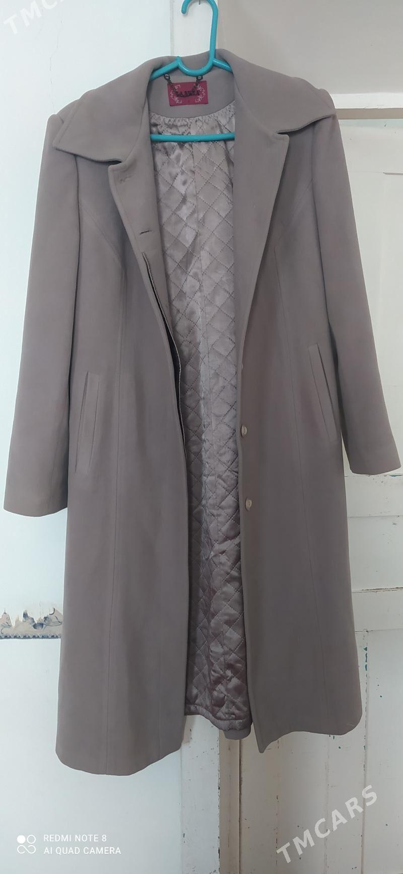 palto - Murgap - img 2