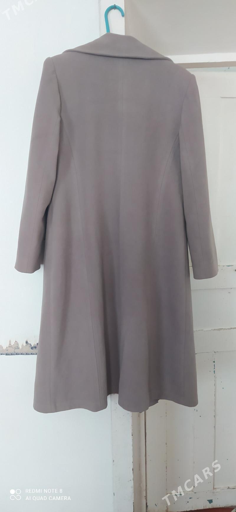 palto - Murgap - img 3