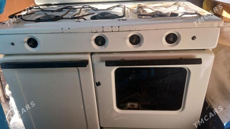 3 gozli gaz - Garadamak - img 3