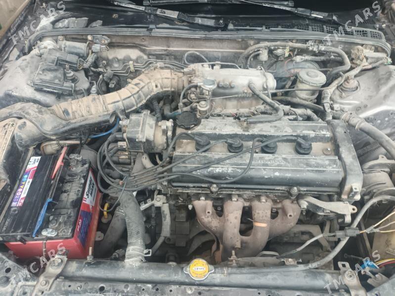 Honda Integra 1993 - 30 000 TMT - Çärjew - img 5