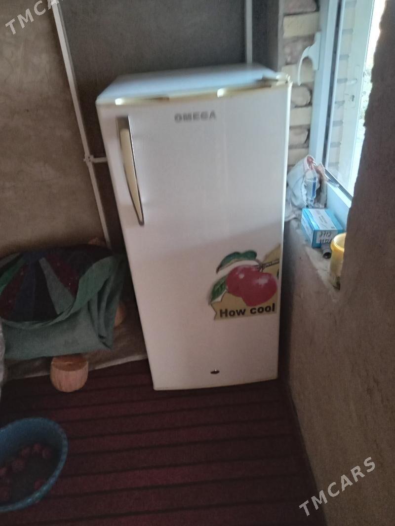 omega - Mary - img 4